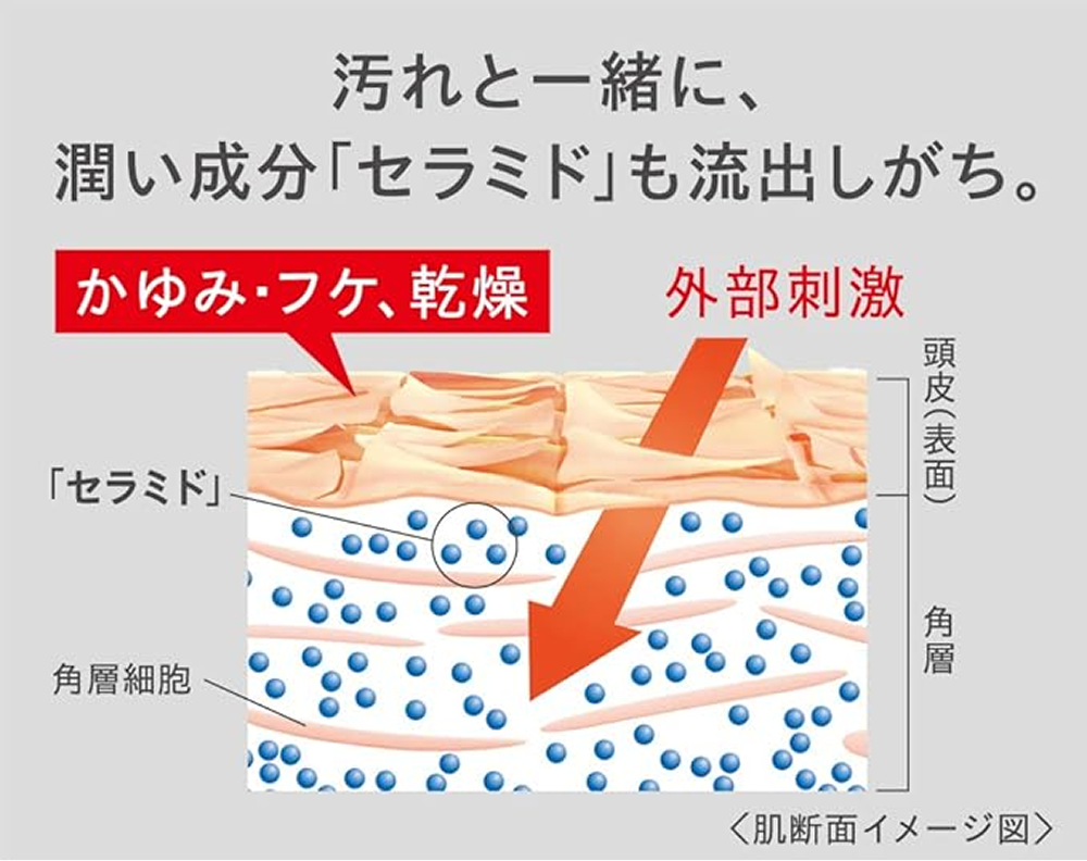 汚れと一緒に、潤い成分「セラミド」も流出しがち。