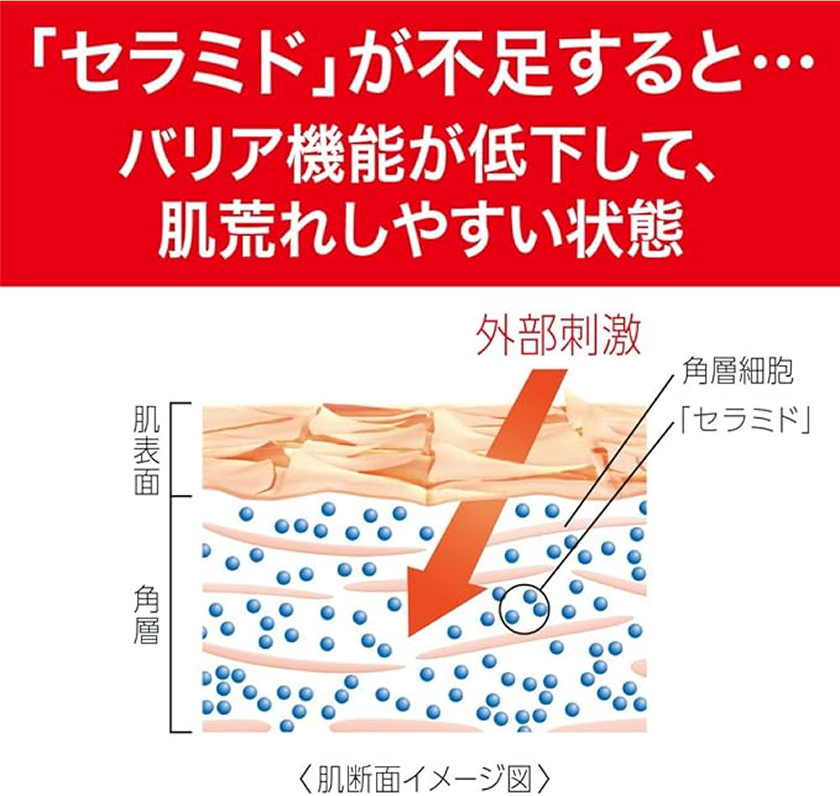 「セラミド」が不足すると・・・ バリア機能が低下して、肌荒れしやすい状態