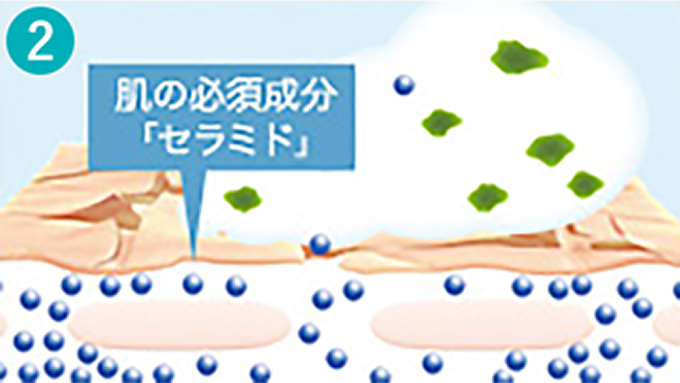 キュレル 潤浸保湿 泡洗顔料